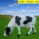 供應奶牛雕塑圖