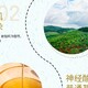 元寶楓籽油廠家圖