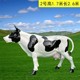 曲陽(yáng)戶(hù)外奶牛雕塑定做產(chǎn)品圖