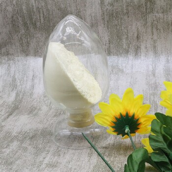 廣東植物乳桿菌生產(chǎn)廠家