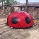 定制圖