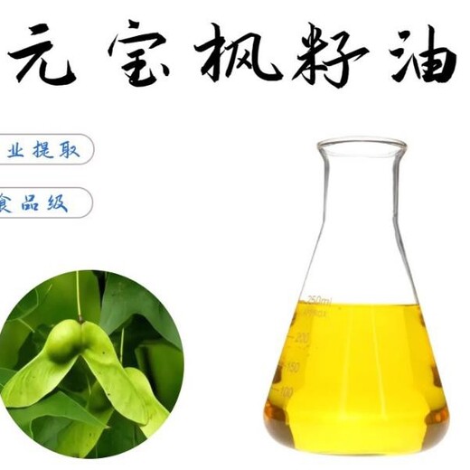 隨州種植基地元寶楓籽油3ml*15支