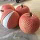 水果蔬菜雕塑加工廠(chǎng)圖