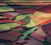 達州土地評估,房產土地評估公司