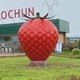 水果蔬菜雕塑圖