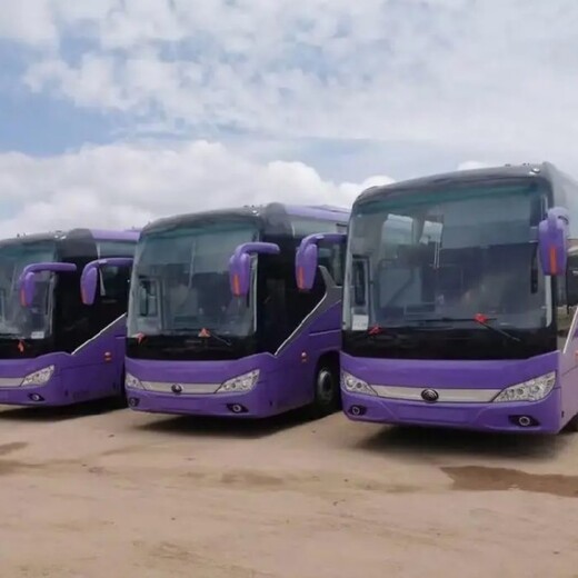 膠州到商丘大巴客車直達(dá)發(fā)車時(shí)刻表及上車時(shí)間汽車票：