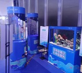 海洋生物展海狮杂技演艺租赁公司