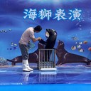 租赁公司萌宠海狮水族馆海洋生物鱼缸展