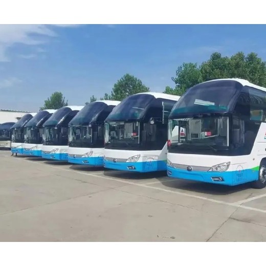 青島到安陽長途客車直達(dá)坐車的地點在哪里長途車-