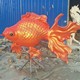 金魚雕塑圖