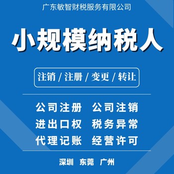 深圳宝安公司代理记账财税代理,一般纳税人申请,记账报税