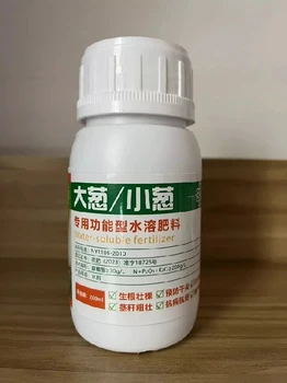 大蔥麗江抗病抗逆大蔥小蔥葉面肥