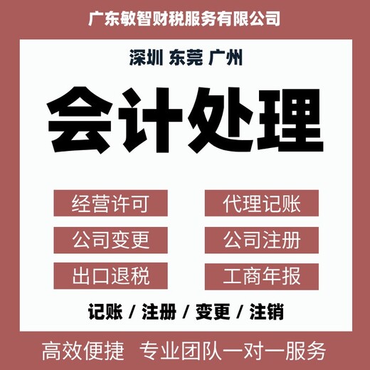 广州天河公司注册材料财税代理,一般纳税人申请,查账征收