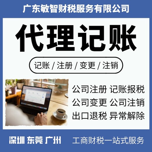 东莞凤岗记账报税代理财税代理,一般纳税人申请,纳税申报