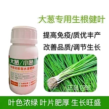 大蔥小蔥葉面肥陜西抗病抗逆翰方大蔥小蔥葉面肥生根壯棵圖片