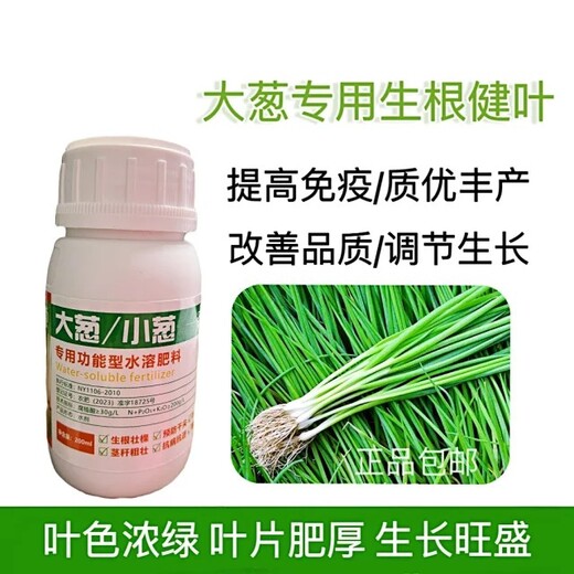 大蔥昆明翰方大蔥小蔥葉面肥