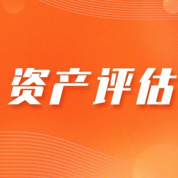 评估公司评估的要素有哪些,企业估值,企业价值评估