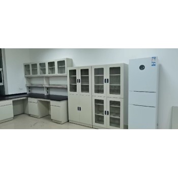 周口全鋼藥品柜銷售,實驗室PP器皿柜定制