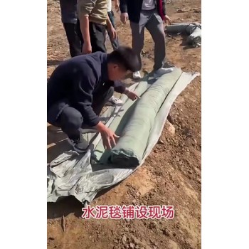 魚塘護坡水泥地毯各種規(guī)格日照固化水泥毯各種規(guī)格