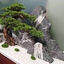珠海雪浪石銷售,刻字雪浪石