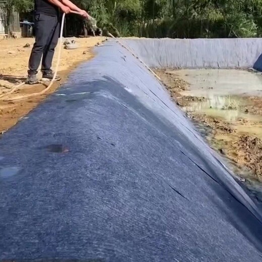 通州煤礦排水溝渠固化水泥毯