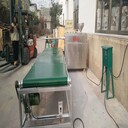 小粉條機制粉條設備圣泰機械