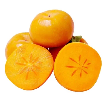 天津河西8公分柿子樹產(chǎn)地報價