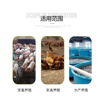 廣東飼料添加劑飼料級(jí)菌體蛋白植物性菌體蛋白