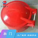 鐵門關(guān)浮箱式拍門