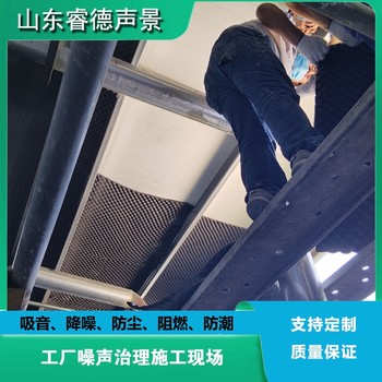 福建噪声治理