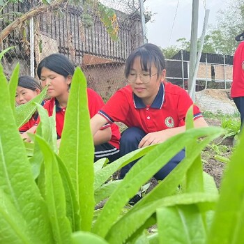 湛江市問題少年叛逆少年管教學(xué)校,亂發(fā)脾氣叛逆少年管教學(xué)校地址