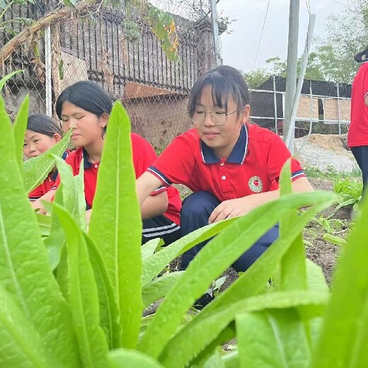 中山市教育学校联系方式