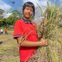 清远市个性教育全封闭教育学校,全封闭教育学校哪里有