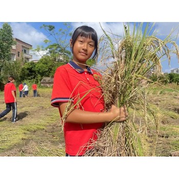 清遠市個性教育全封閉教育學校,全封閉教育學校哪里有