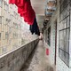 揭陽市自理能力差青少年教育學校聯系方式產品圖