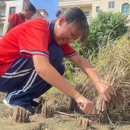 湛江市奢侈消费全封闭管理学校,全封闭管理学校哪里有