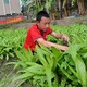 叛逆全封閉管理學(xué)校圖