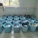 湛江市逃學(xué)厭學(xué)青少年教育學(xué)校,青少年教育學(xué)校在哪里