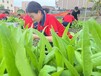 湛江市正規(guī)全封閉教育學(xué)校,全封閉教育學(xué)校在哪里