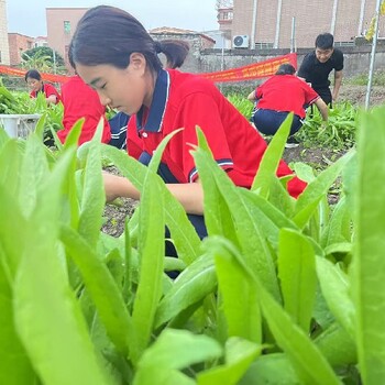 深圳市自卑自閉叛逆少年管教學(xué)校,難管教叛逆少年管教學(xué)校在哪里