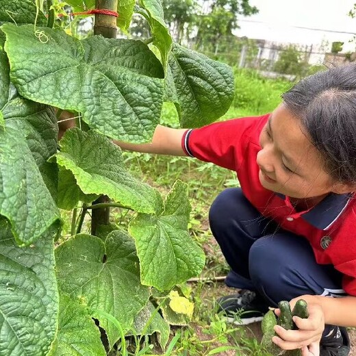 清远市不良嗜好管教全封闭管理学校,全封闭管理学校哪里有