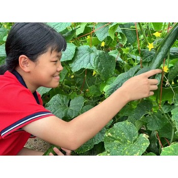 揭阳市沉迷网络叛逆少年管教学校,非常叛逆叛逆少年管教学校电话