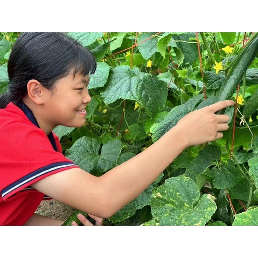 惠州市夜不归宿叛逆少年管教学校,不良少年叛逆少年管教学校电话