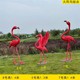 曲陽玻璃鋼仿真火烈鳥雕塑生產(chǎn)廠家產(chǎn)品圖