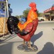 玻璃鋼大公雞雕塑圖