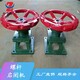 雙吊點(diǎn)中亞3噸螺桿式啟閉機(jī)廠家定制圖