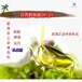 嘉定異丙醇酰胺6508廠家除蠟去油乳化劑