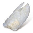 配飾玉器免費(fèi)鑒定,玉器拍賣機(jī)構(gòu)