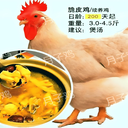 雞飯脆皮濃香月子雞廠(chǎng)家