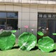 不銹鋼荷花雕塑圖